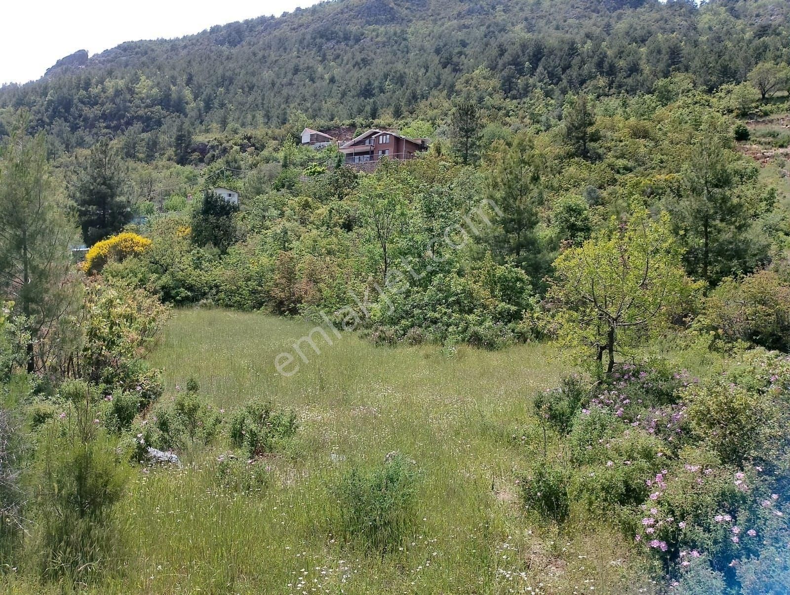 Alanya Dim Barajı Manzaralı Yatırımlık Tarla - Görsel 7