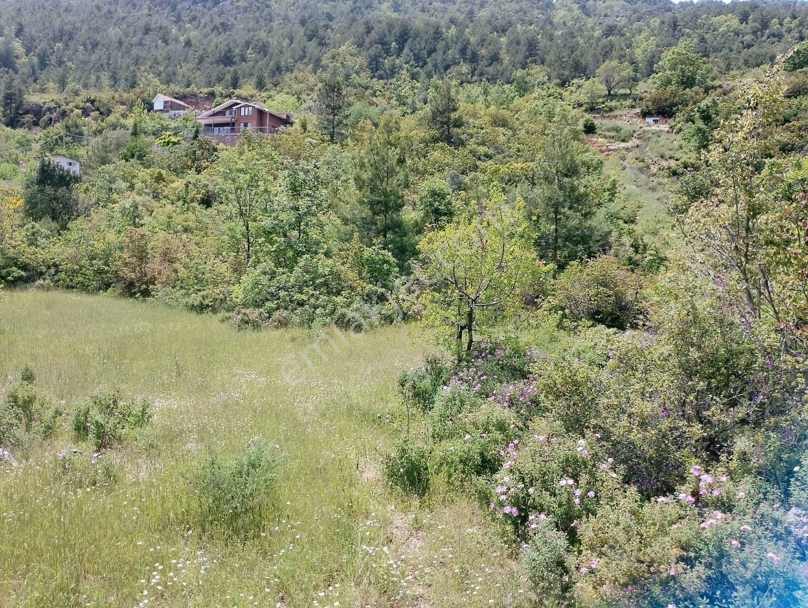 Alanya Dim Barajı Manzaralı Yatırımlık Tarla - Görsel 6