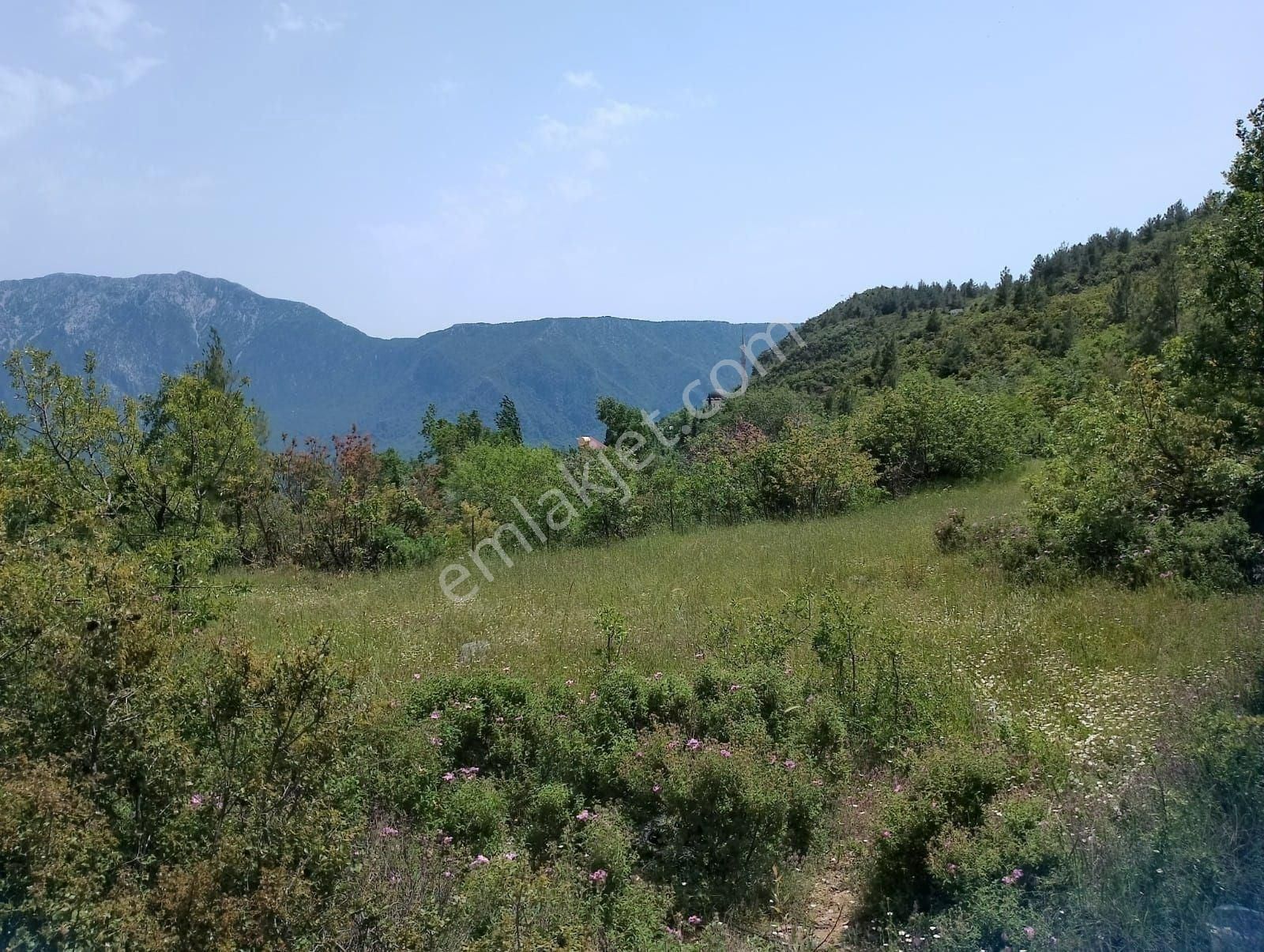 Alanya Dim Barajı Manzaralı Yatırımlık Tarla - Görsel 3