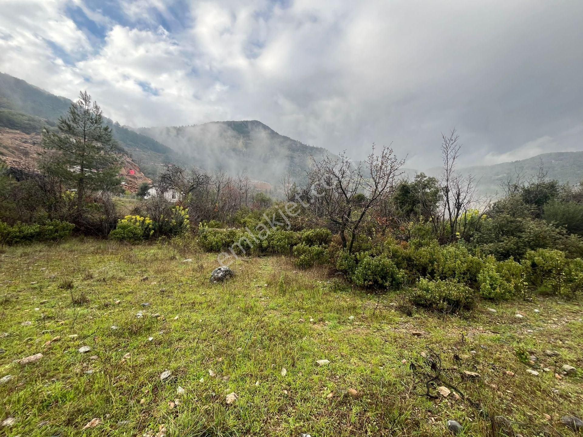 Alanya Dim Barajı Manzaralı Yatırımlık Tarla - Görsel 10