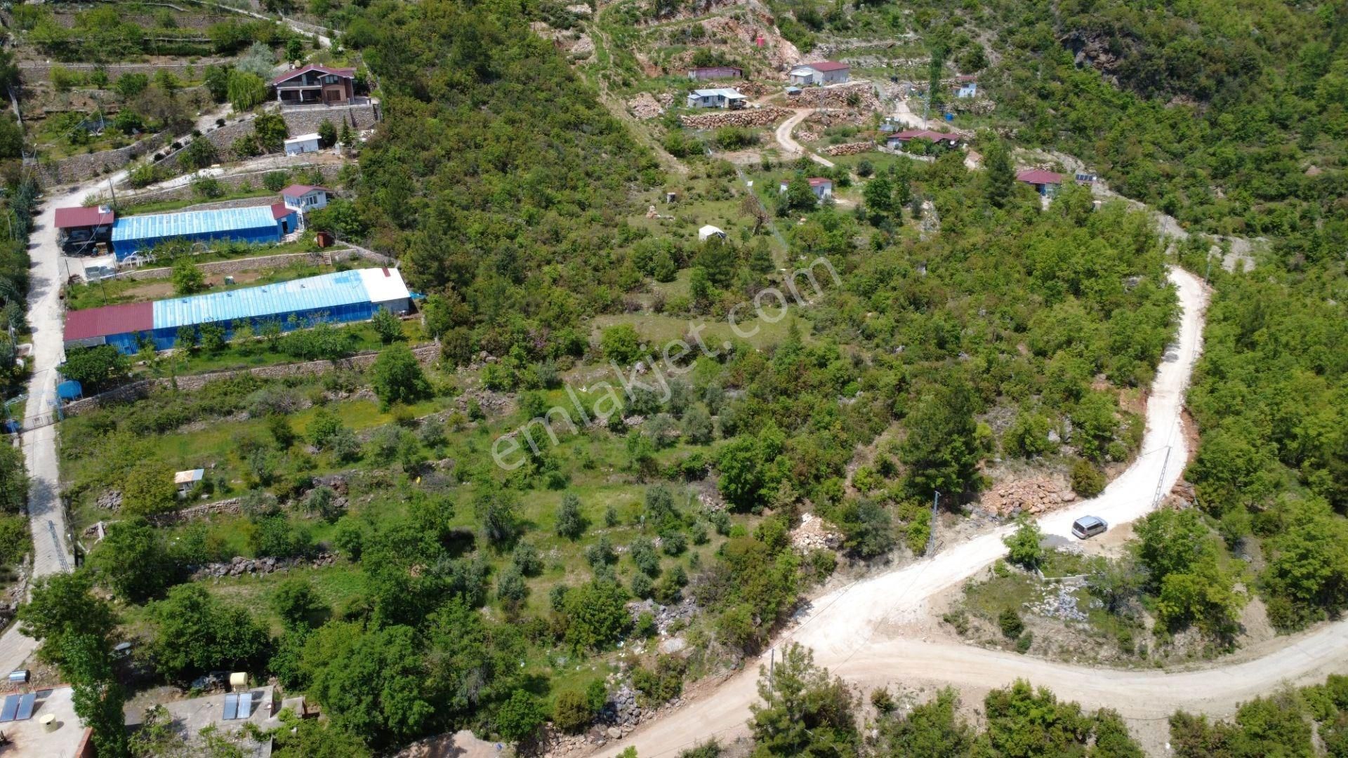 Alanya Dim Barajı Manzaralı Yatırımlık Tarla - Görsel 12