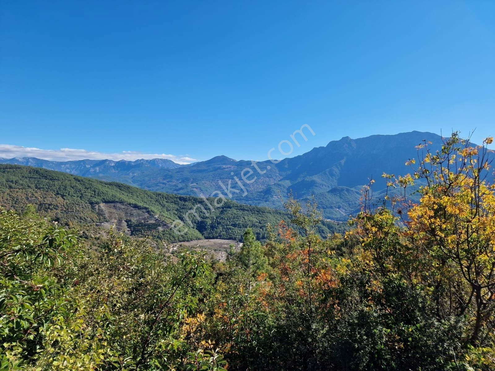 Alanya Dim Barajı Manzaralı Yatırımlık Tarla - Görsel 2