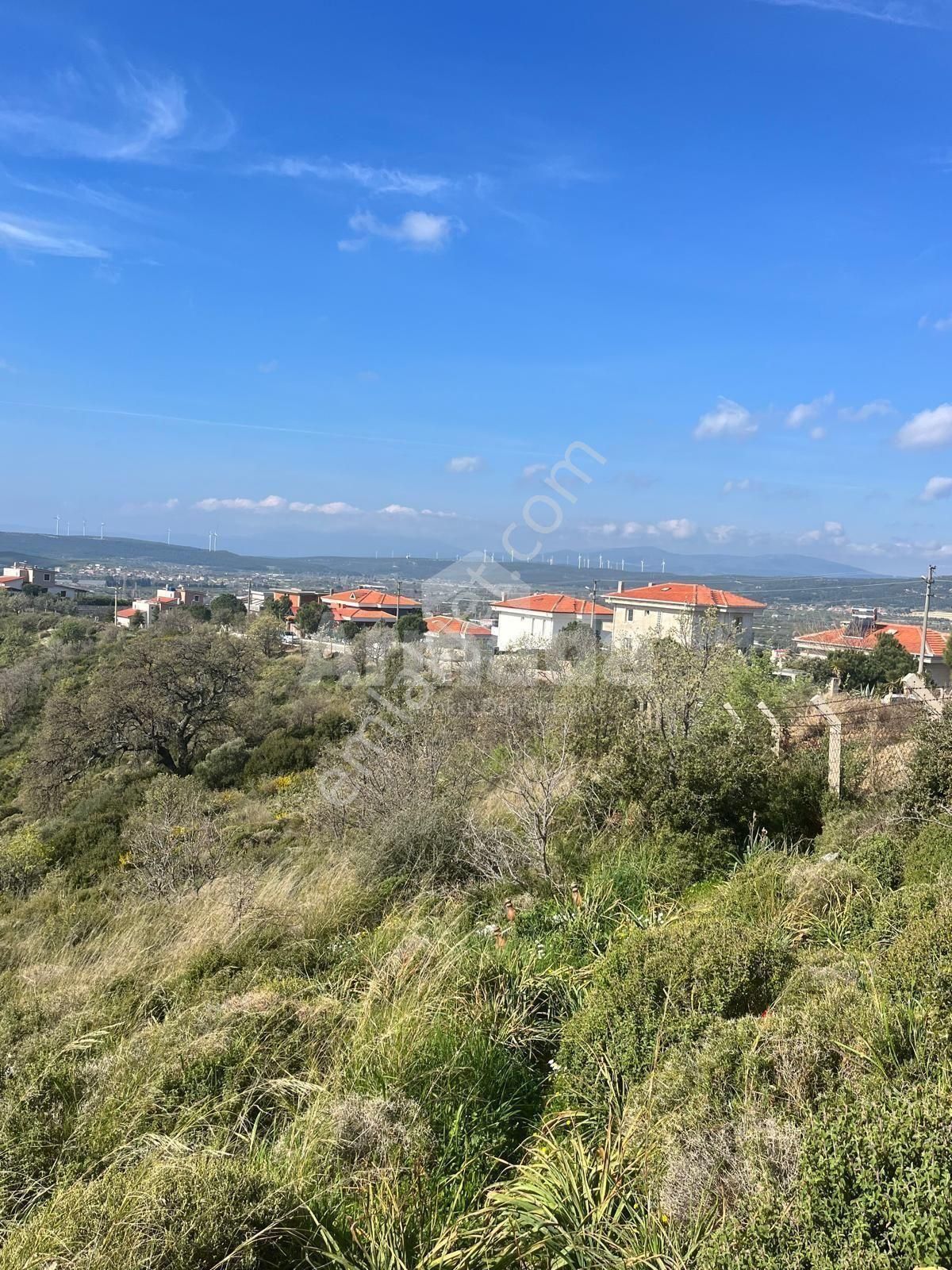 İzmir Seferihisar Ulamış'ta İmar Sınırında Satılık Tarla