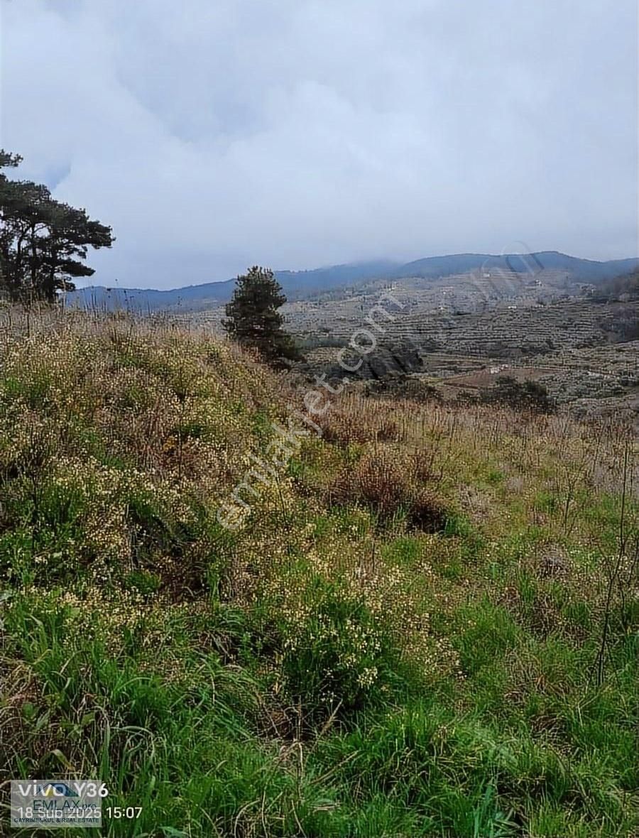 İzmir Selçuk Şirince De Bahçe