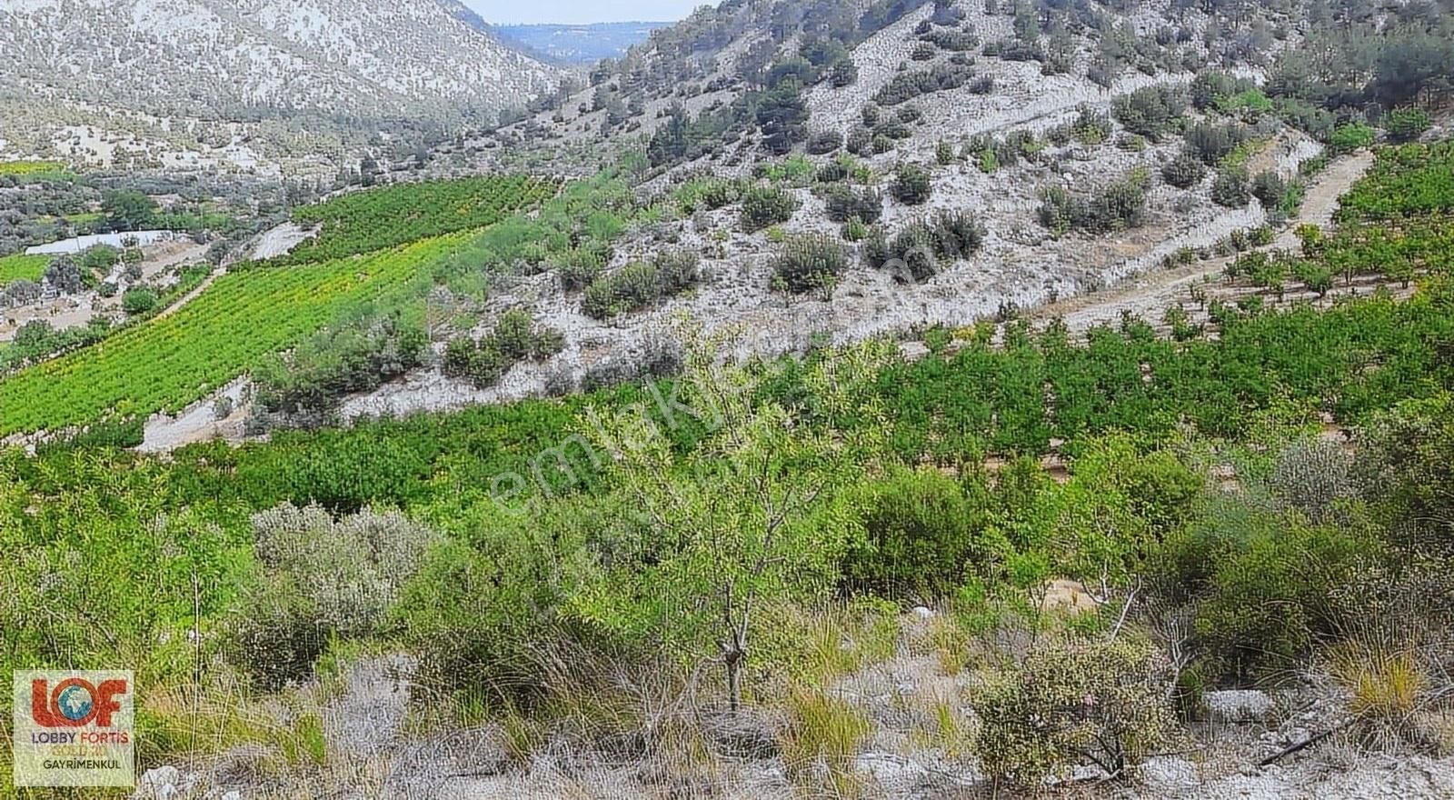 Lobby Fortis'ten Yenicekent'te Satılık 12995 M2 Nar Ve Üzüm Bağı