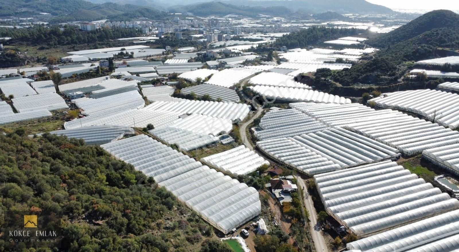 Sarıcasuda 2100 M2 Sera+ev