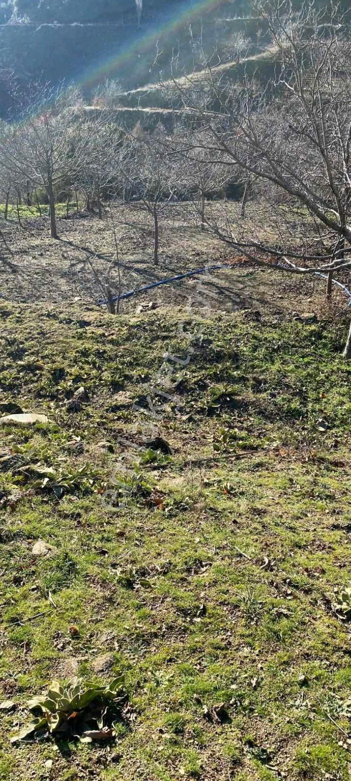 Mor Çiçek Emlak Tire Yamandere Satılık Sebze Bahçe Yeri