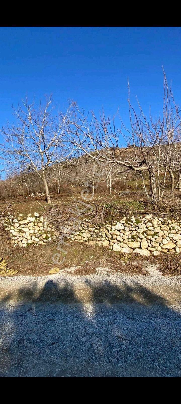 Mor Çiçek Emlak Tire Yamandere Satılık Sebze Bahçe Yeri - Görsel 8