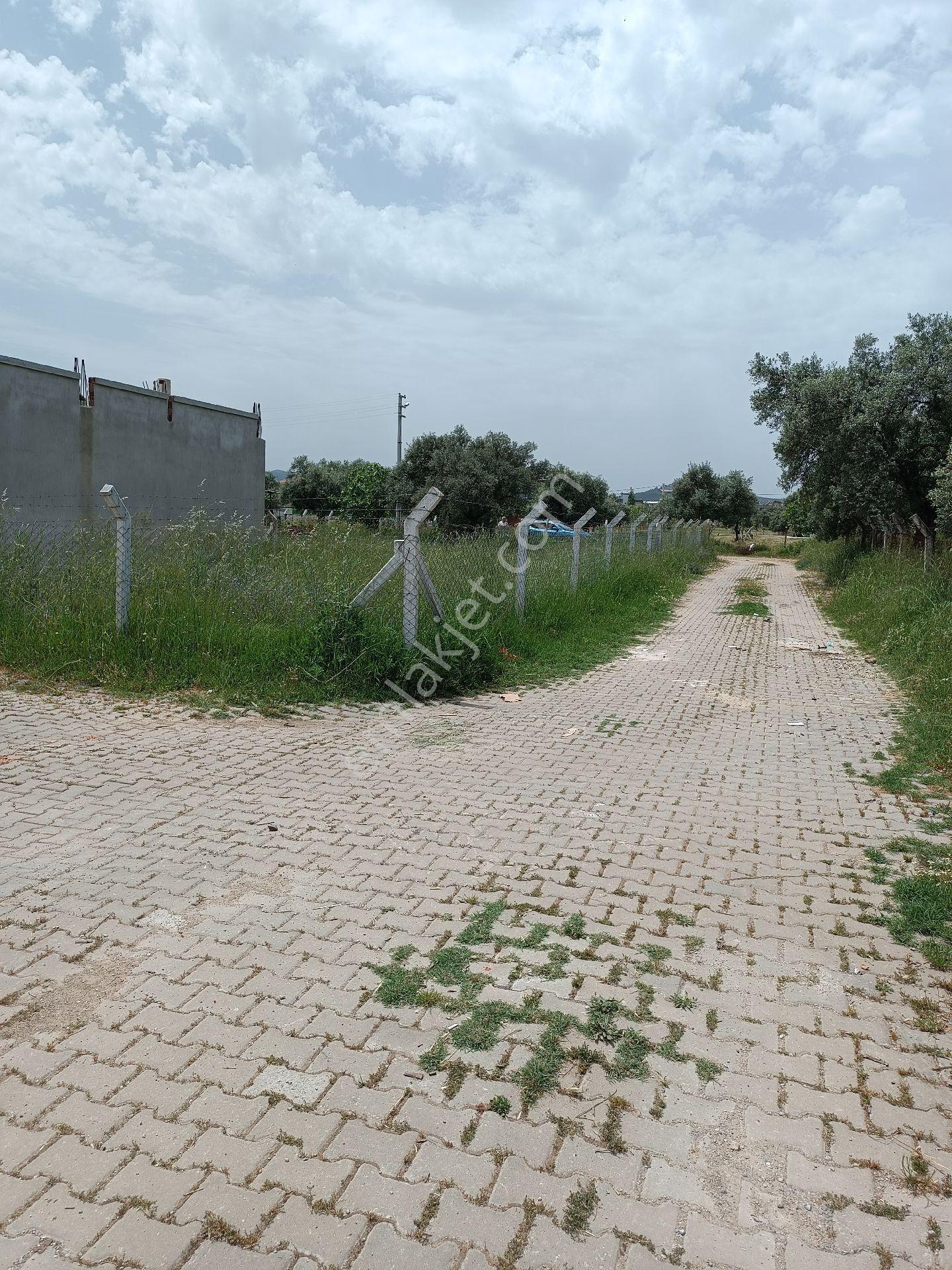 Aydın Ortaklar'da Ana Yola Yakın Konut İmanlı 3 Adet Arsa - Görsel 21
