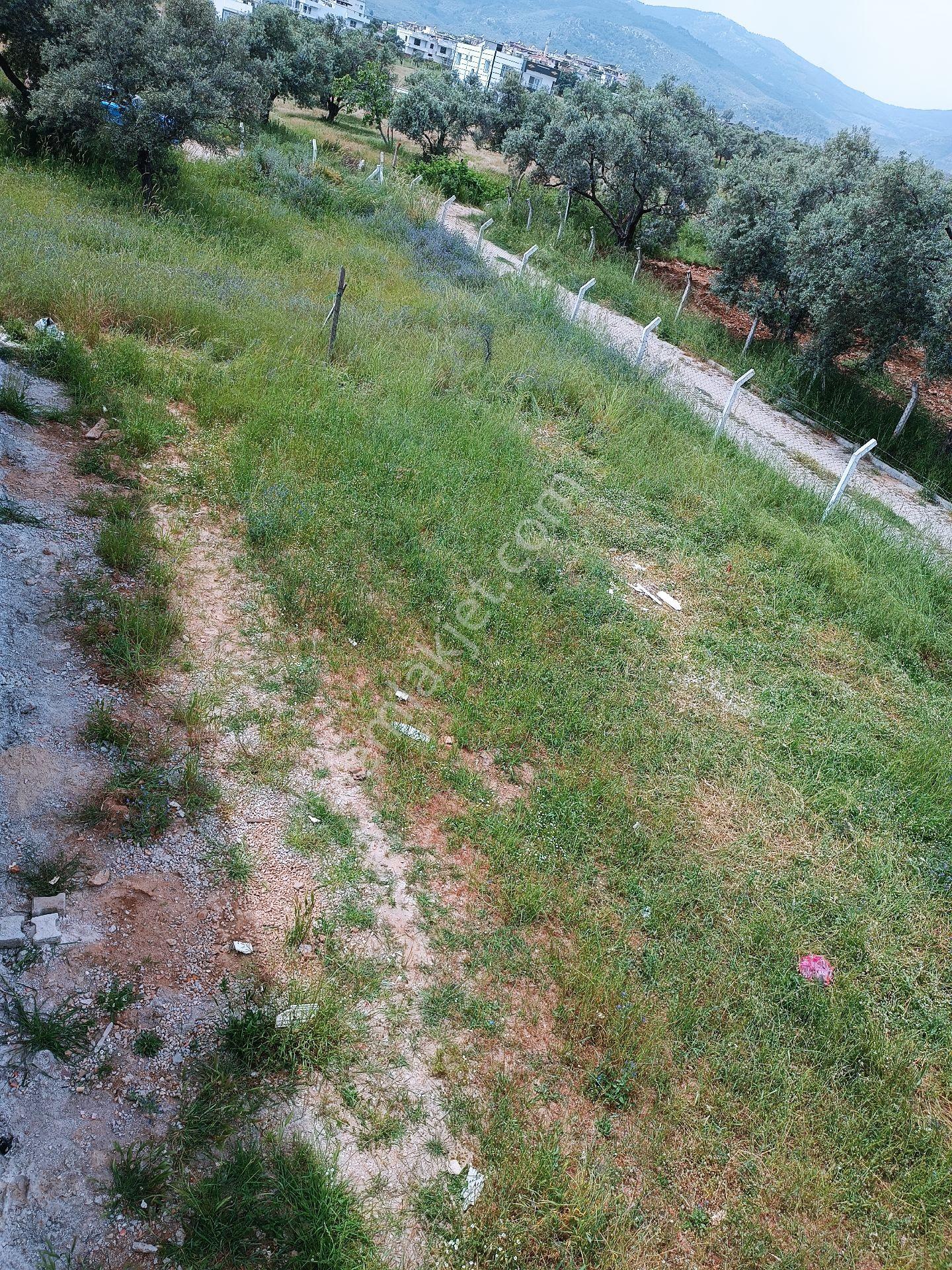 Aydın Ortaklar'da Ana Yola Yakın Konut İmanlı 3 Adet Arsa - Görsel 9