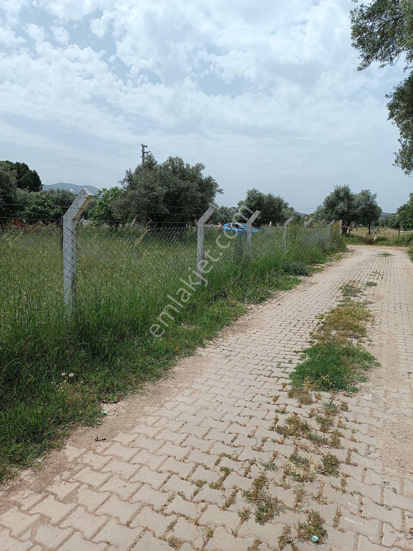Aydın Ortaklar'da Ana Yola Yakın Konut İmanlı 3 Adet Arsa - Görsel 23