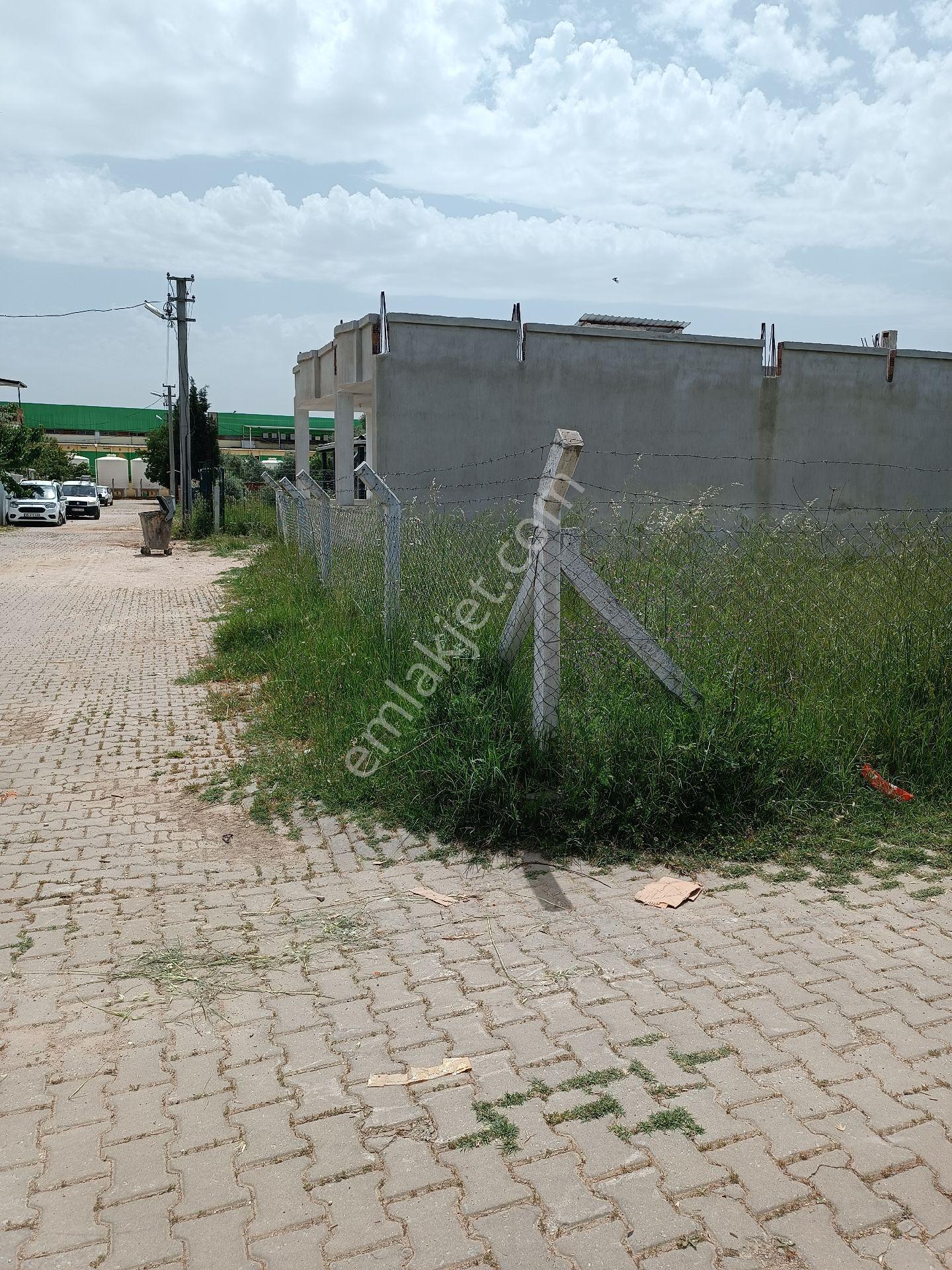 Aydın Ortaklar'da Ana Yola Yakın Konut İmanlı 3 Adet Arsa - Görsel 25