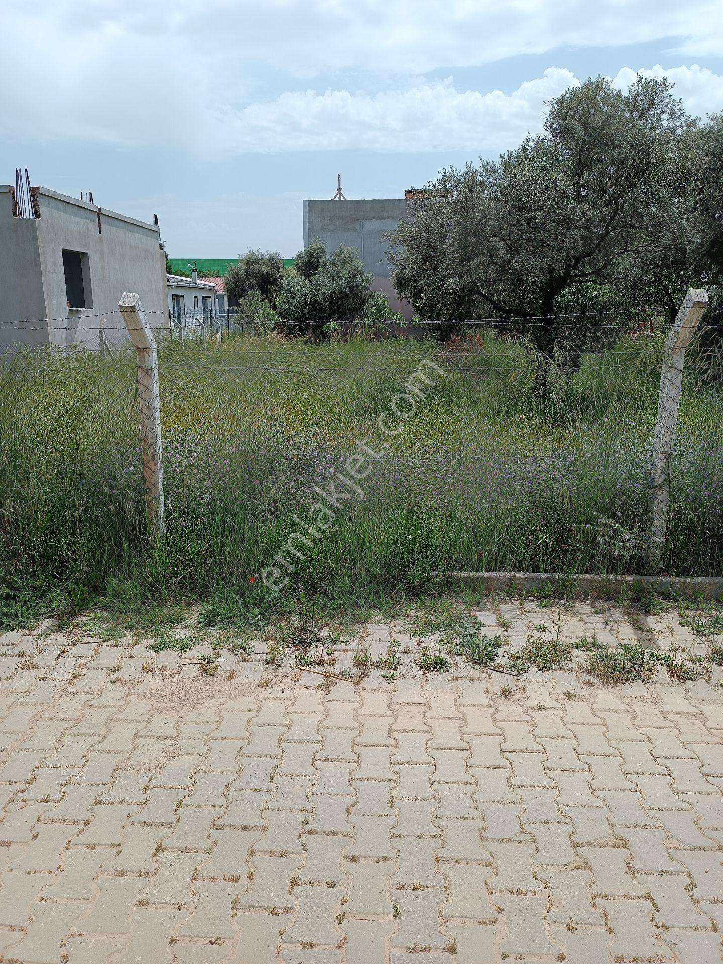 Aydın Ortaklar'da Ana Yola Yakın Konut İmanlı 3 Adet Arsa - Görsel 30