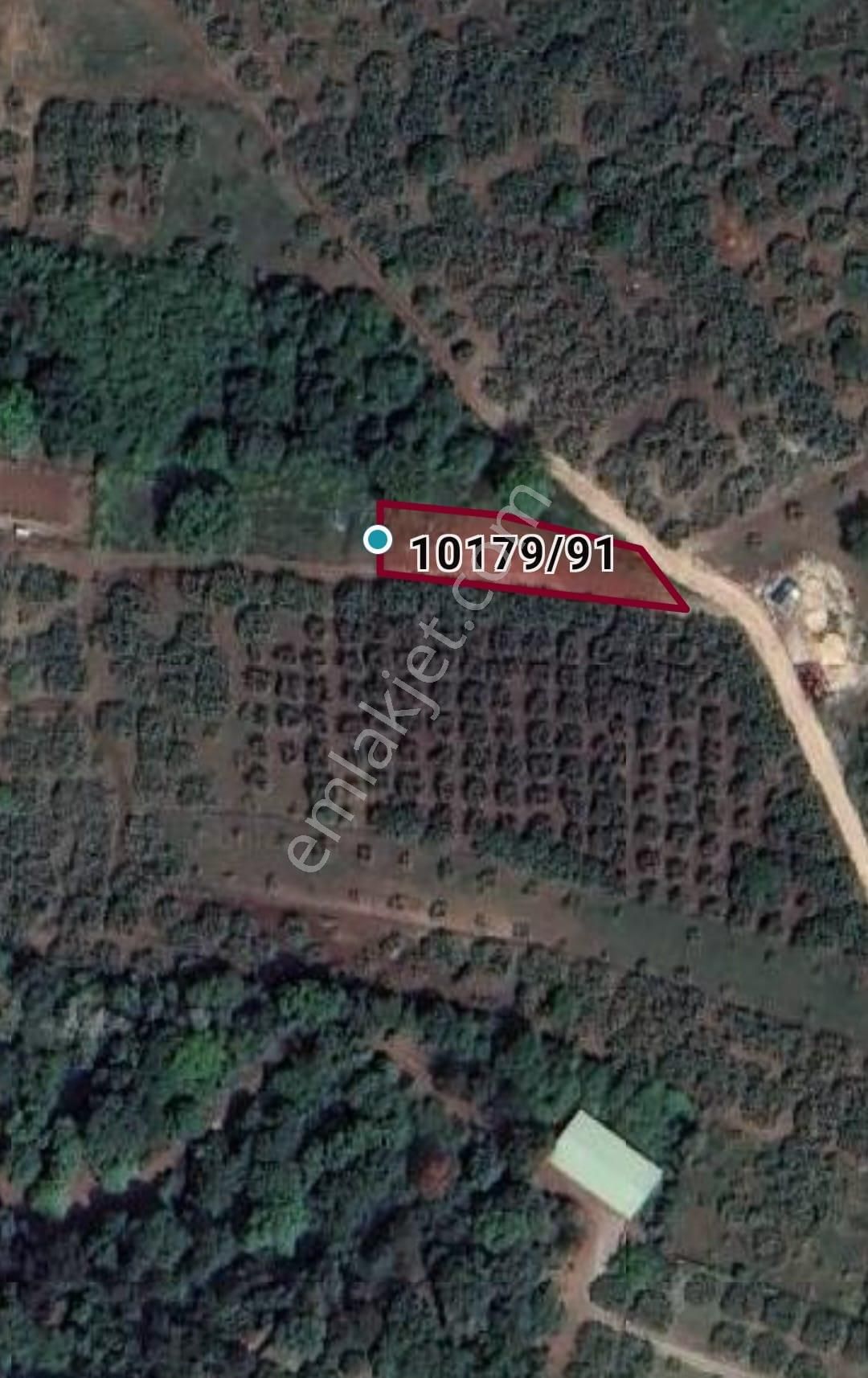 Elmas Gayrimenkul Dan Gündoğduda Manzaralı Satılık Fırsat Tarla - Görsel 10