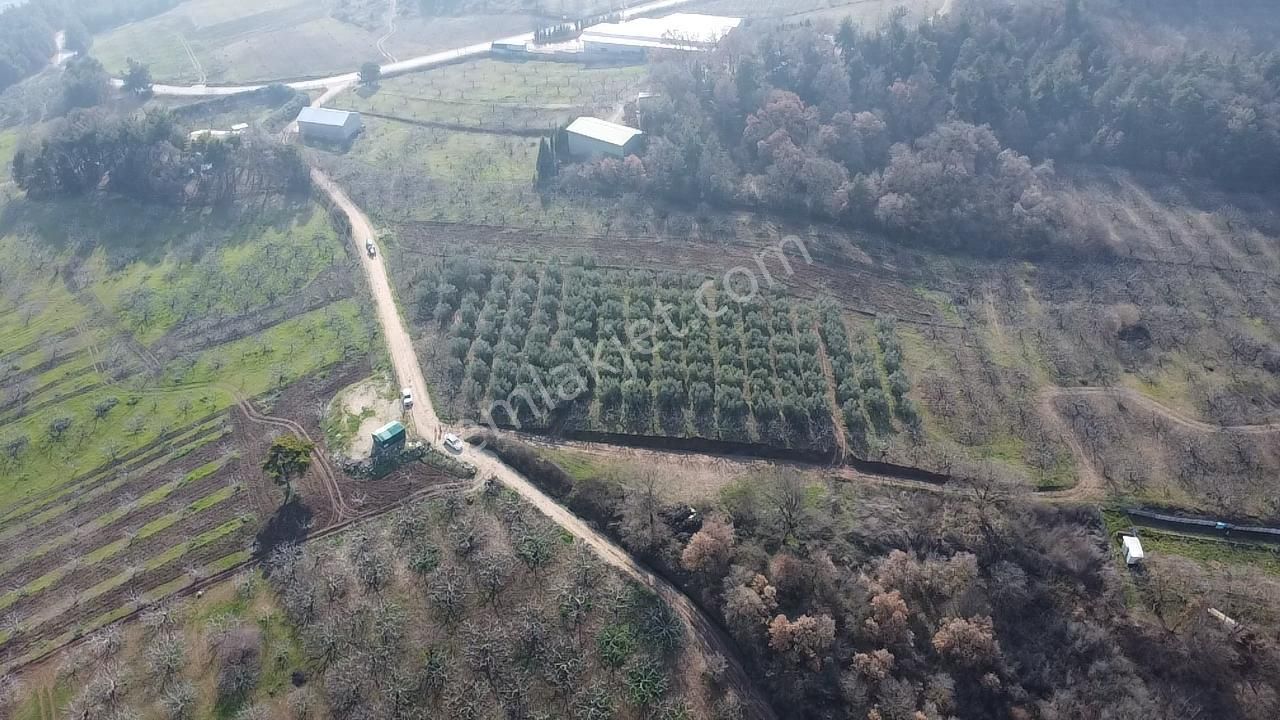 Elmas Gayrimenkul Dan Gündoğduda Manzaralı Satılık Fırsat Tarla - Görsel 14