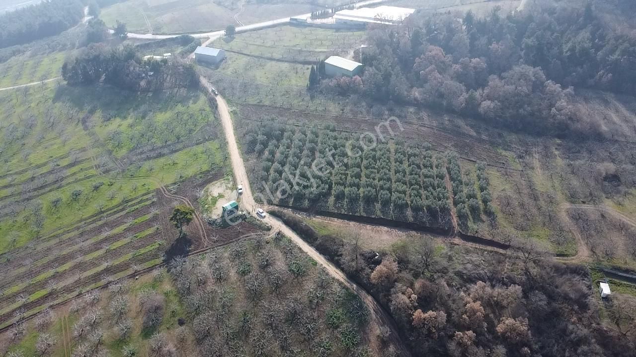 Elmas Gayrimenkul Dan Gündoğduda Manzaralı Satılık Fırsat Tarla - Görsel 17