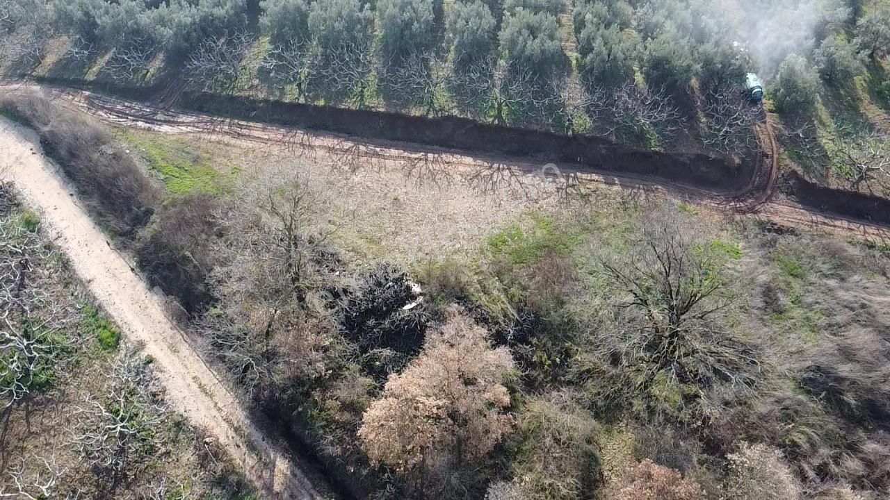 Elmas Gayrimenkul Dan Gündoğduda Manzaralı Satılık Fırsat Tarla - Görsel 16