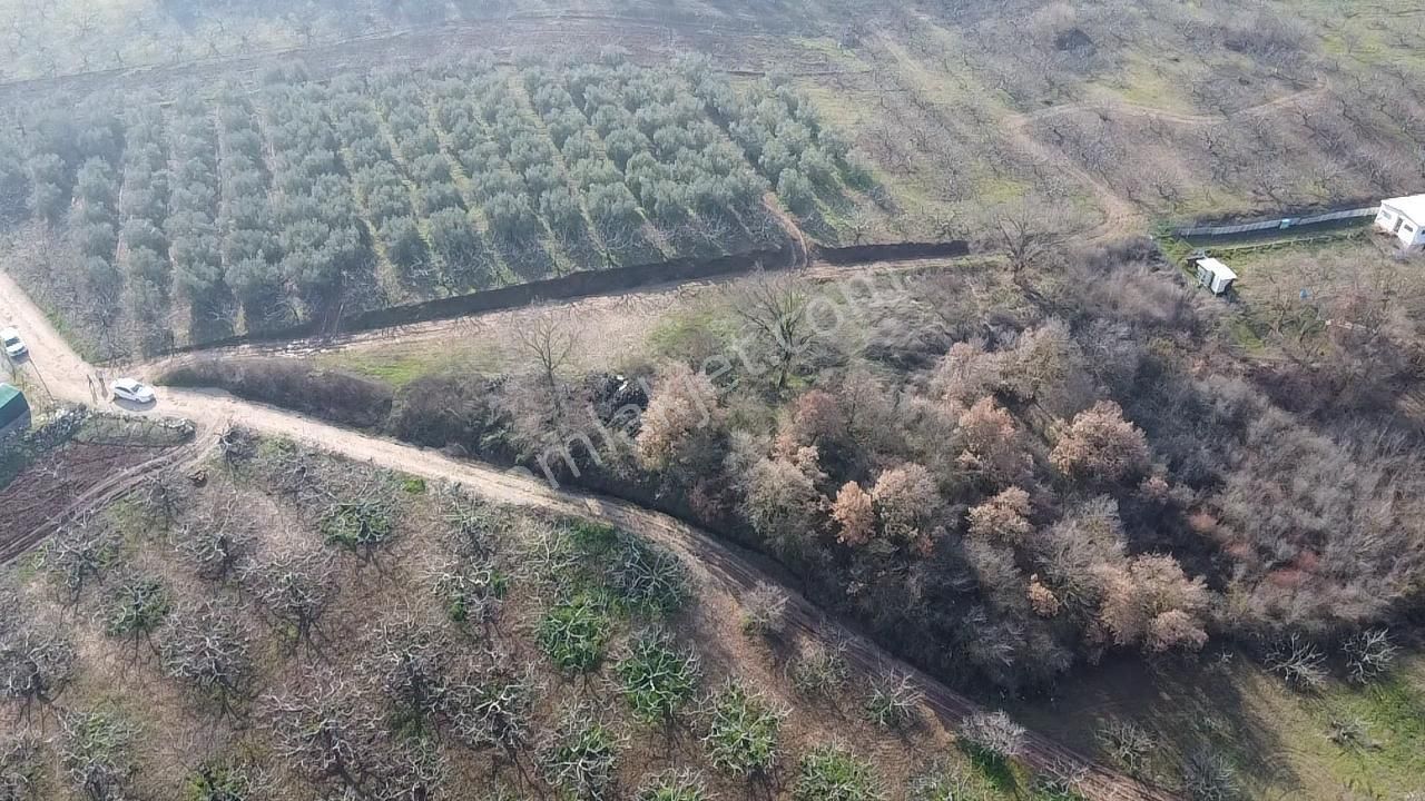 Elmas Gayrimenkul Dan Gündoğduda Manzaralı Satılık Fırsat Tarla - Görsel 13