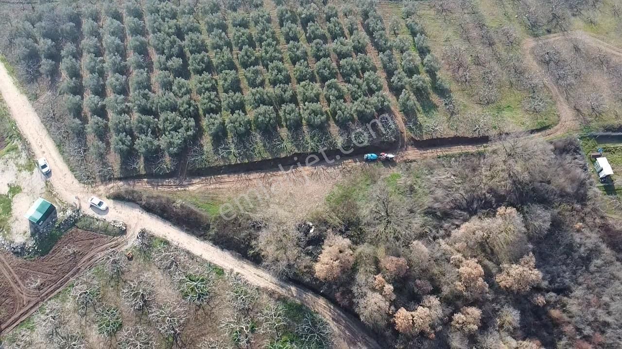Elmas Gayrimenkul Dan Gündoğduda Manzaralı Satılık Fırsat Tarla - Görsel 15