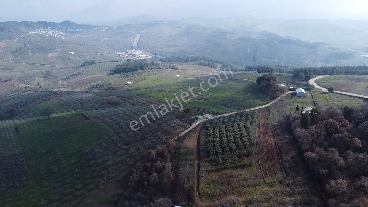 Elmas Gayrimenkul Dan Gündoğduda Manzaralı Satılık Fırsat Tarla - Görsel 21