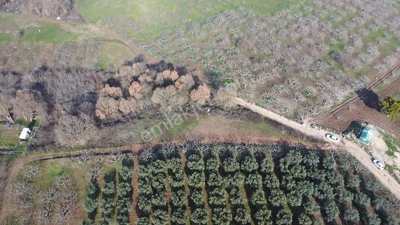 Elmas Gayrimenkul Dan Gündoğduda Manzaralı Satılık Fırsat Tarla - Görsel 12
