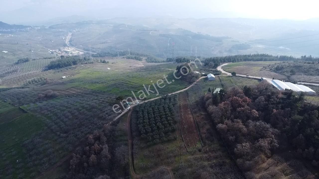 Elmas Gayrimenkul Dan Gündoğduda Manzaralı Satılık Fırsat Tarla - Görsel 20