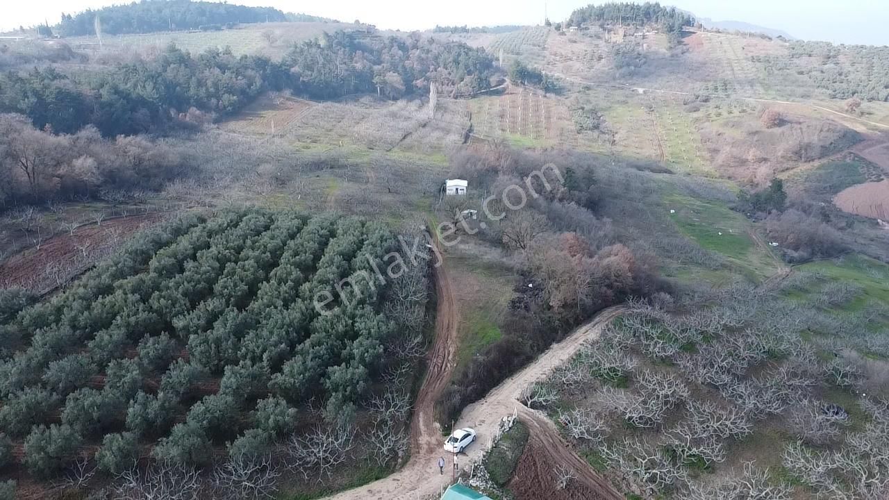 Elmas Gayrimenkul Dan Gündoğduda Manzaralı Satılık Fırsat Tarla - Görsel 19