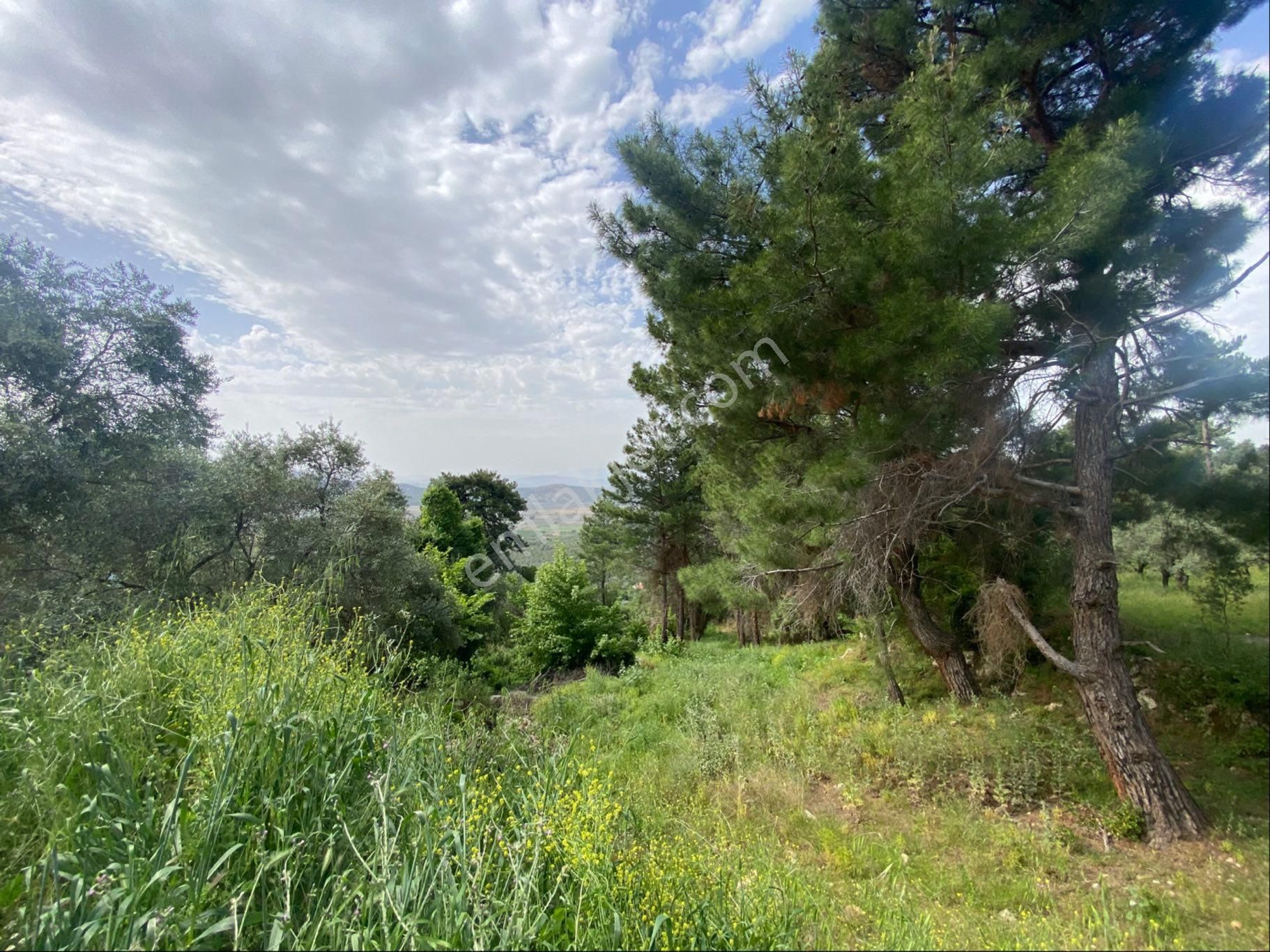 Tire Şahin Gayrimenkulden Küçükkale Köyünde Yatırımlık Arazi - Görsel 12