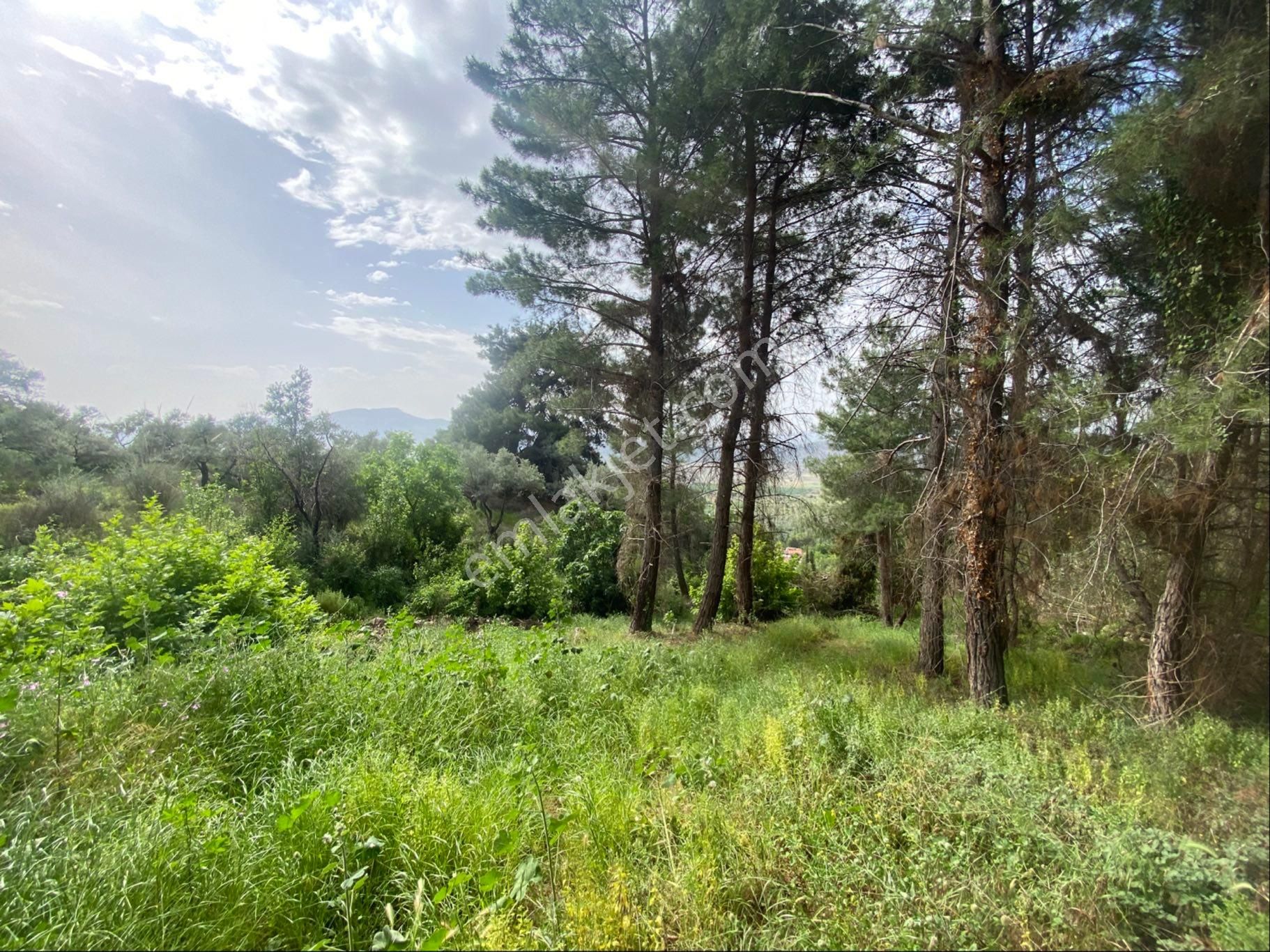 Tire Şahin Gayrimenkulden Küçükkale Köyünde Yatırımlık Arazi - Görsel 7