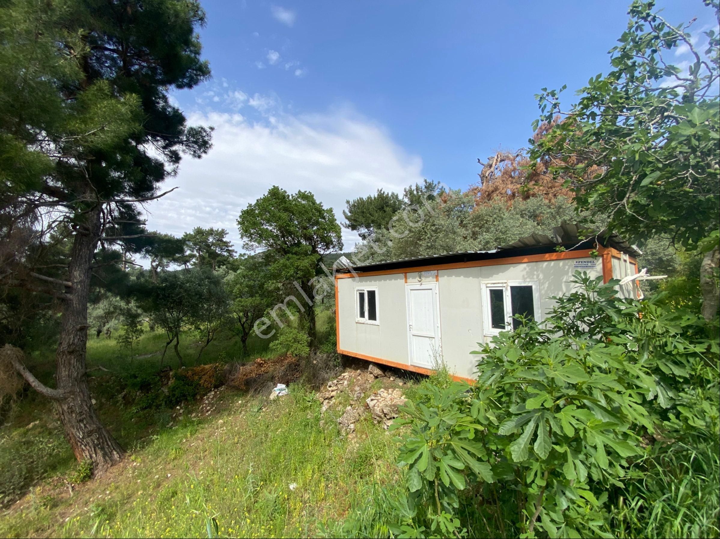 Tire Şahin Gayrimenkulden Küçükkale Köyünde Yatırımlık Arazi - Görsel 14