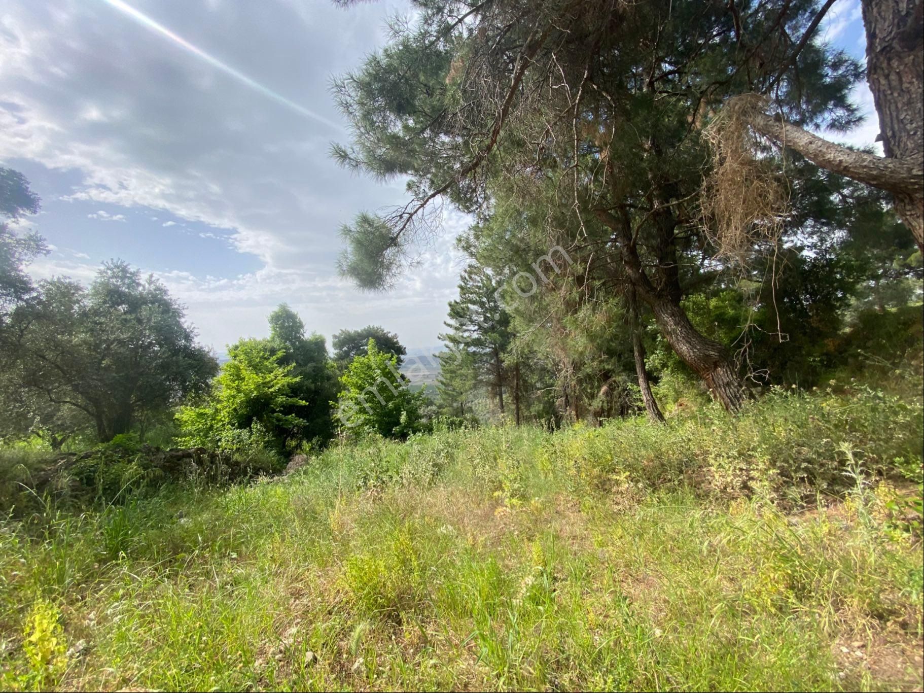 Tire Şahin Gayrimenkulden Küçükkale Köyünde Yatırımlık Arazi - Görsel 9