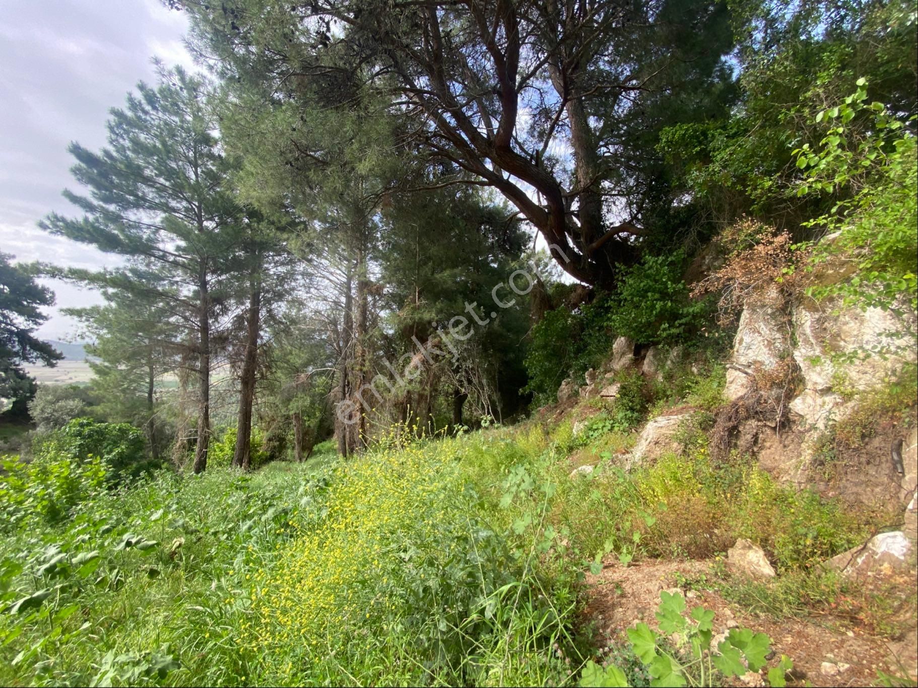 Tire Şahin Gayrimenkulden Küçükkale Köyünde Yatırımlık Arazi - Görsel 8