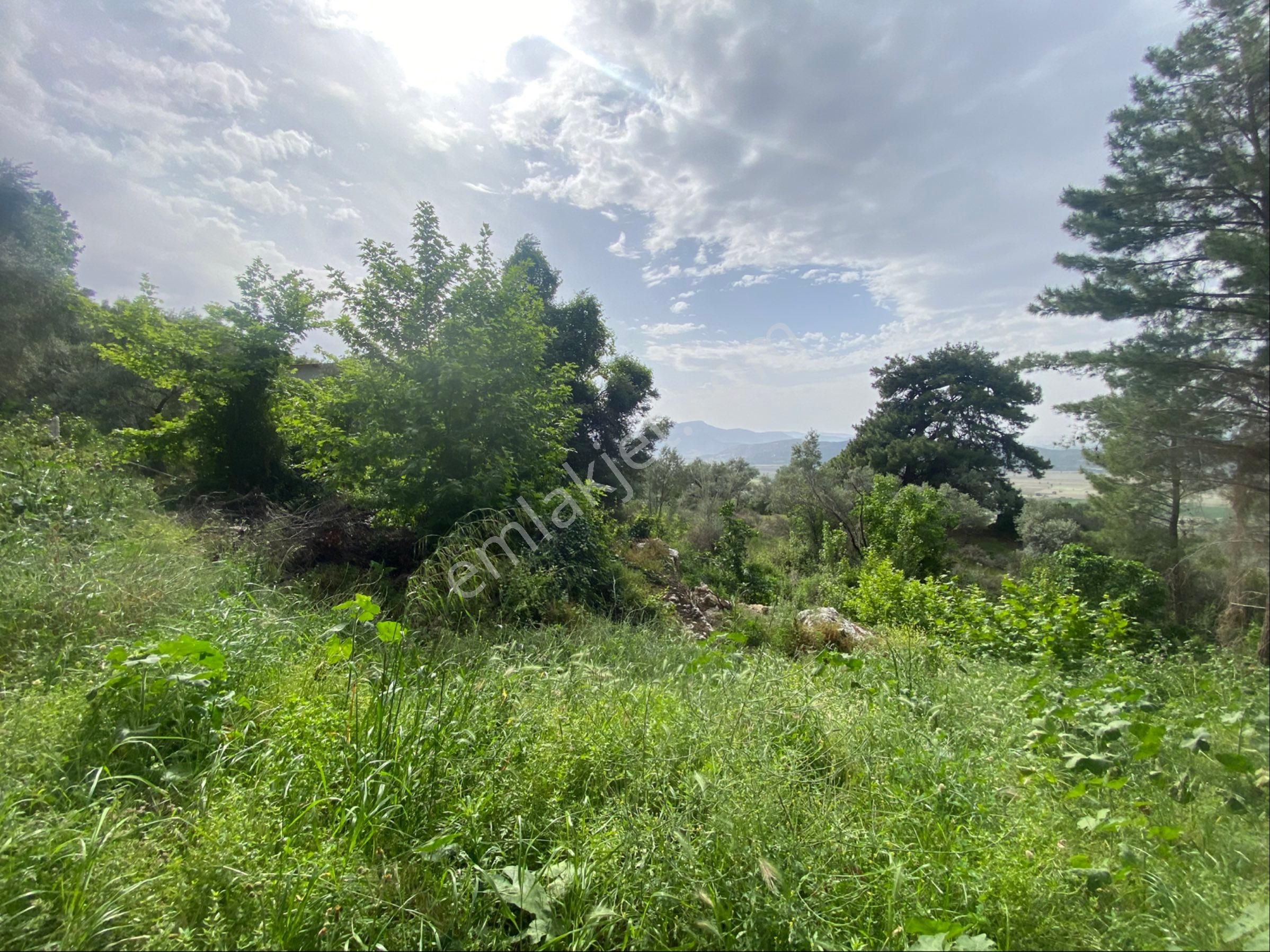 Tire Şahin Gayrimenkulden Küçükkale Köyünde Yatırımlık Arazi - Görsel 11