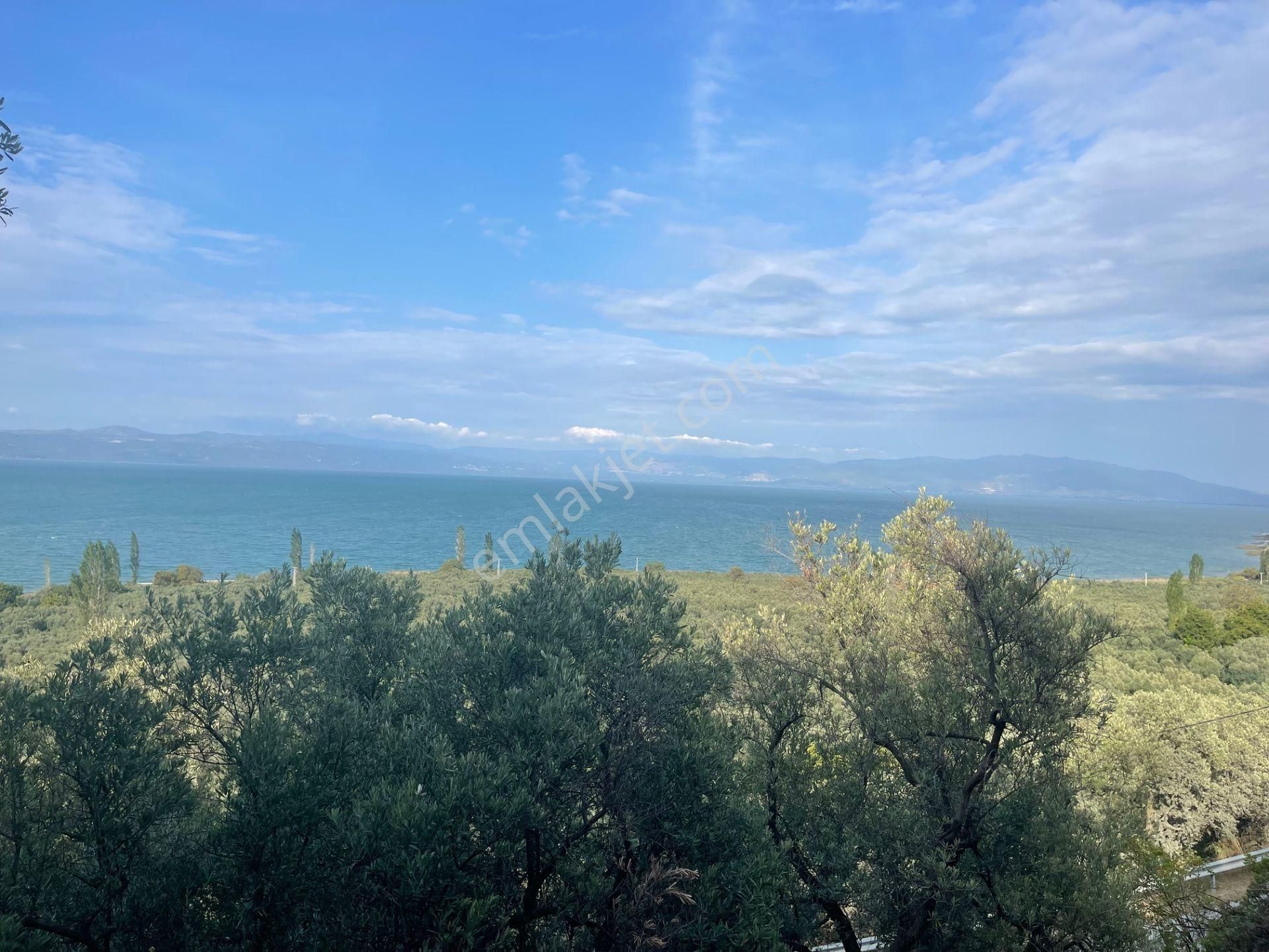 Uygun Fiyata İznik Full Göl Manzaralı Asfalta Cephe 2,386 Mt2