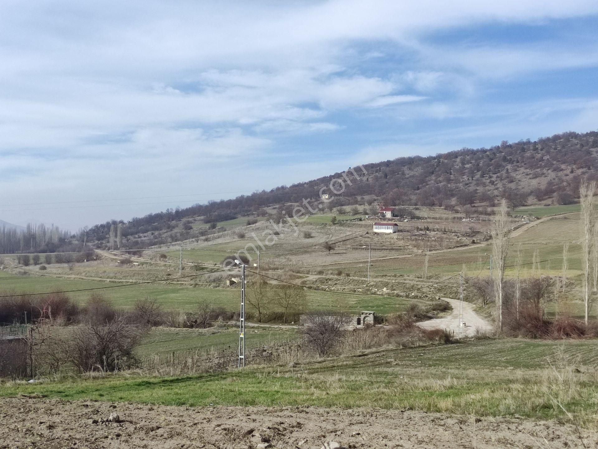 Özpınar ,dan Boyalı Köyü 2 Katlı Taş Ev Ve Arsa 620 M2 90 Cm. Taş Duvarlı - Görsel 12