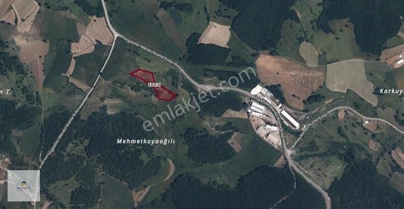 İzmit Gökçeviran Çukurtarla Mevki Satılık Tarla
