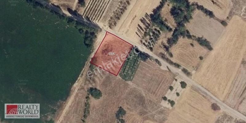 Atabey Harmanören'de 1.802 M2 Satılık Tarla