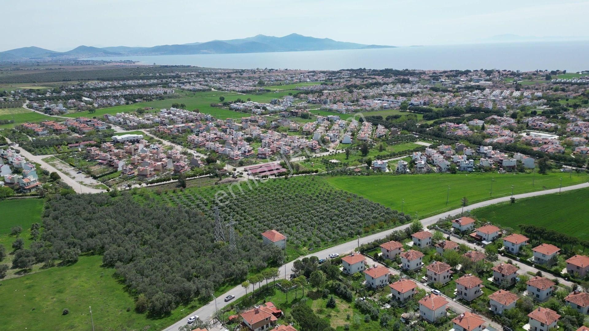 İzmir Dikili Salihleraltında 15.042 M² Satılık Arazi - Görsel 5