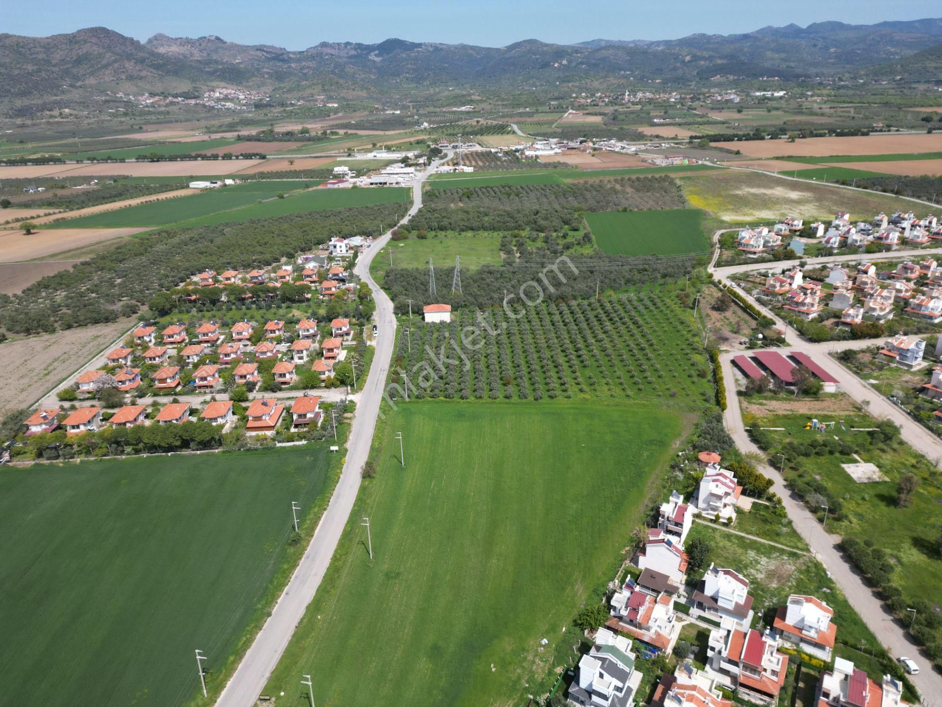 İzmir Dikili Salihleraltında 15.042 M² Satılık Arazi - Görsel 21