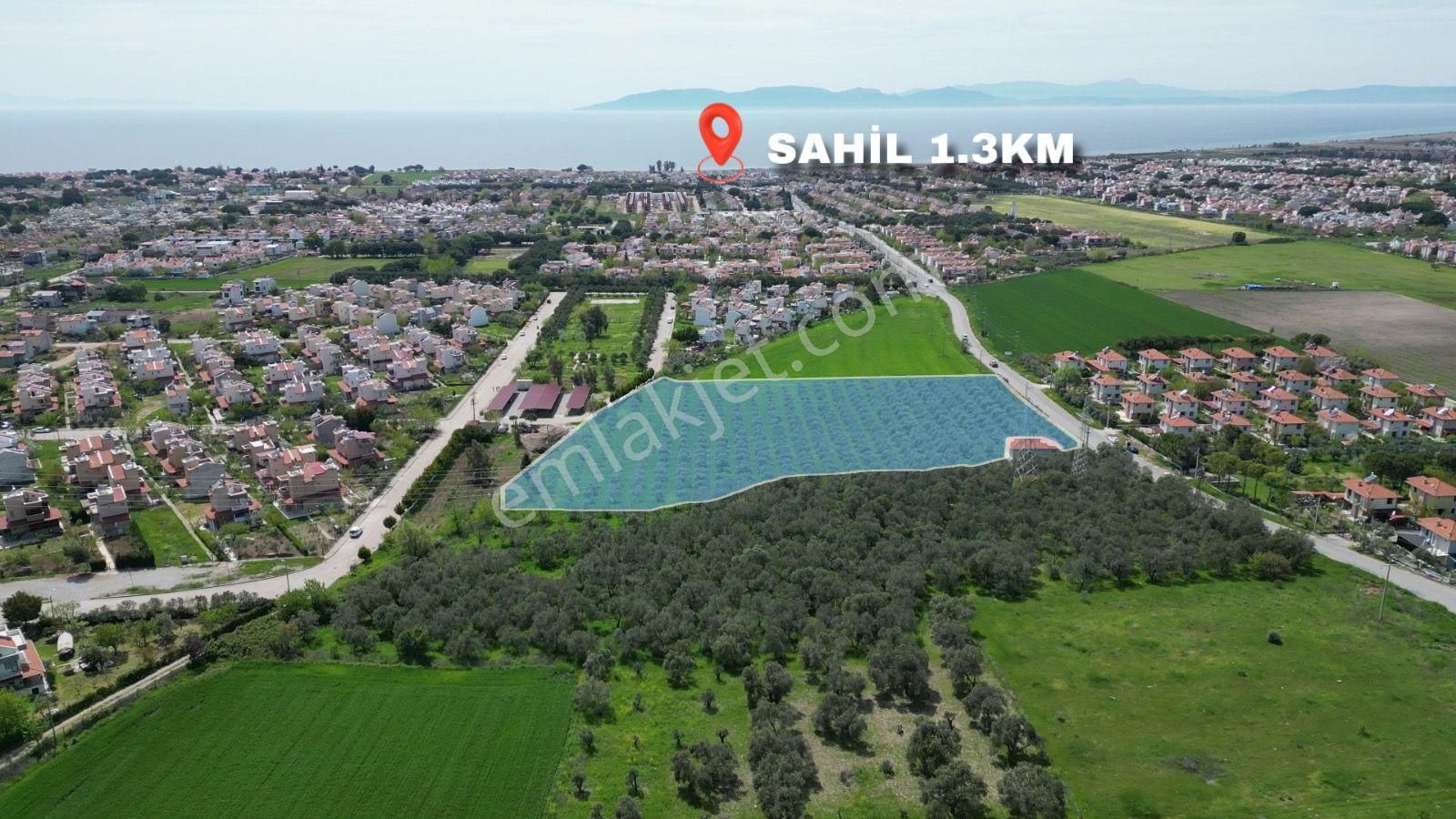İzmir Dikili Salihleraltında 15.042 M² Satılık Arazi - Görsel 3