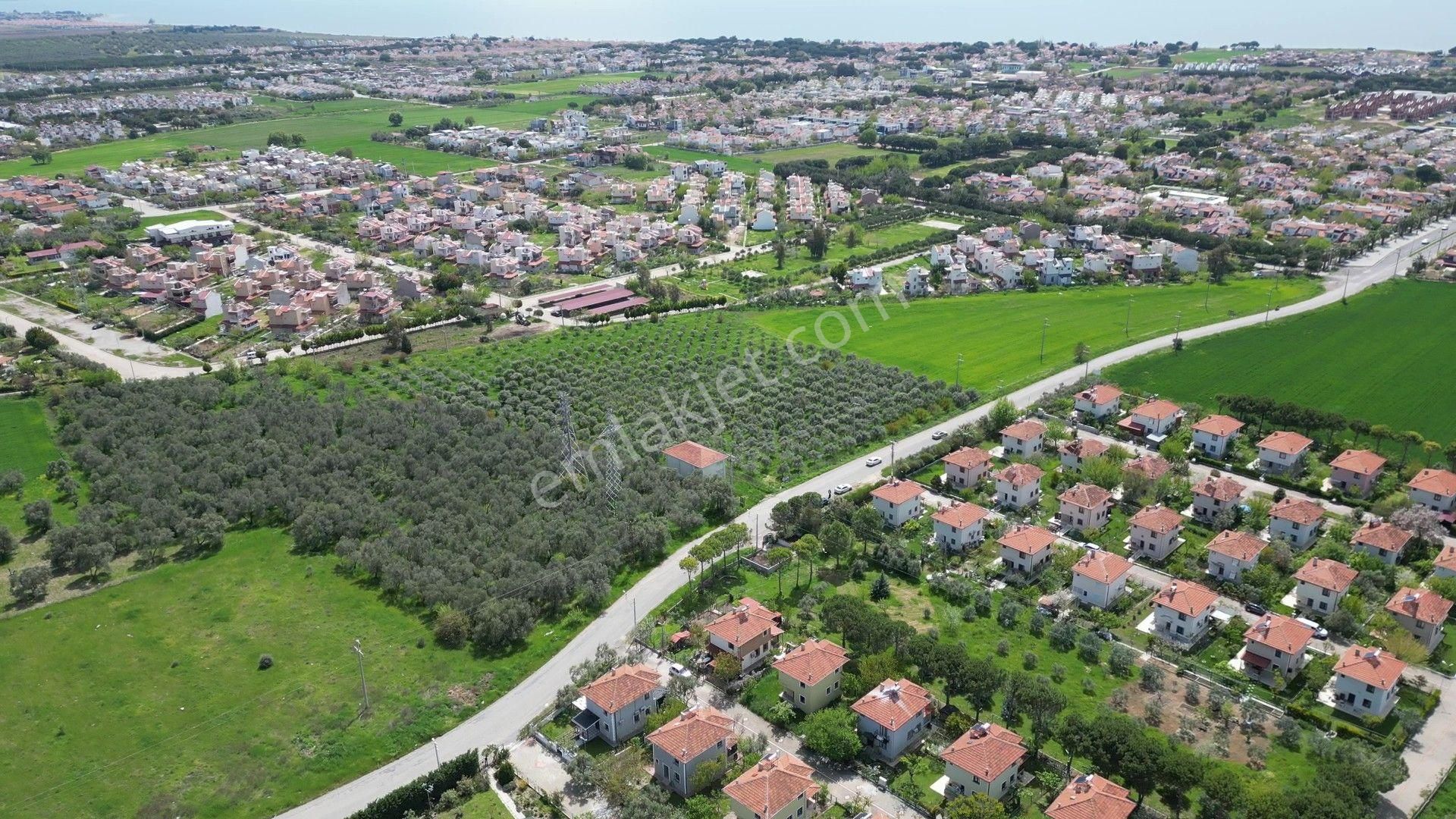 İzmir Dikili Salihleraltında 15.042 M² Satılık Arazi - Görsel 6