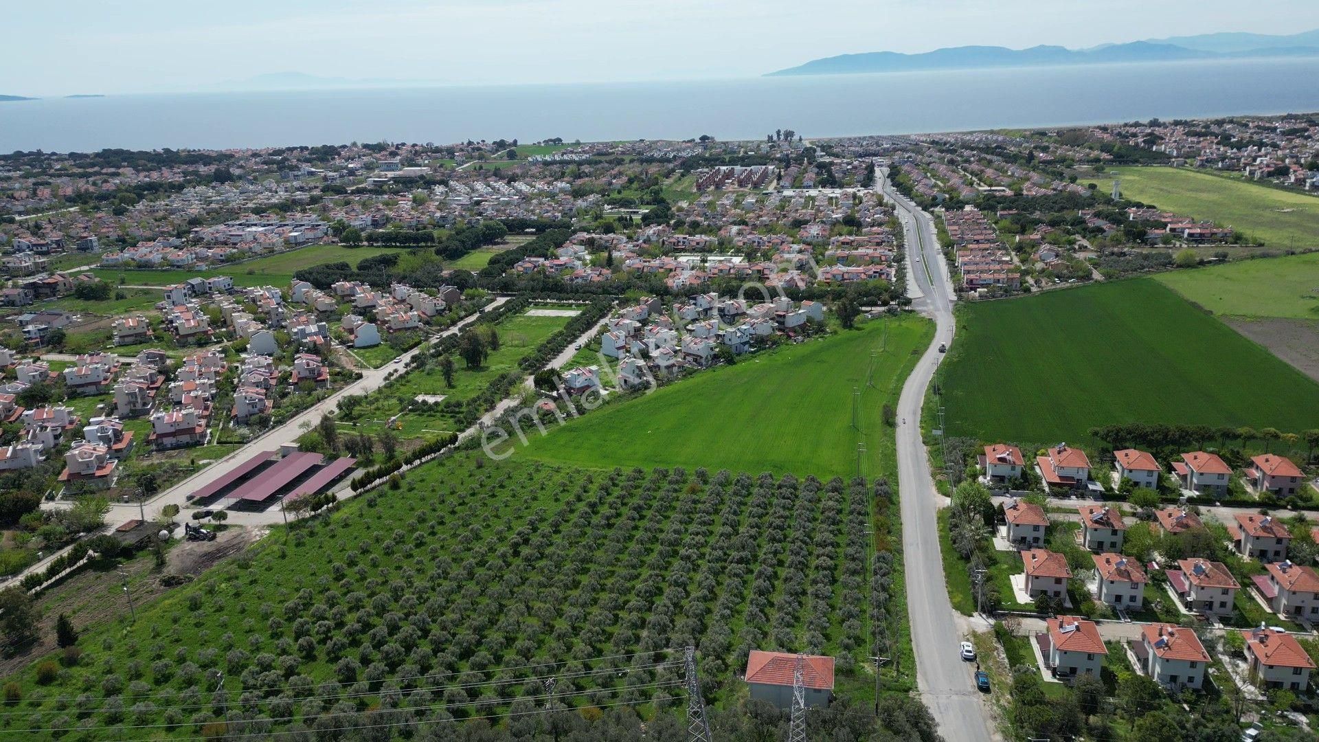 İzmir Dikili Salihleraltında 15.042 M² Satılık Arazi - Görsel 8