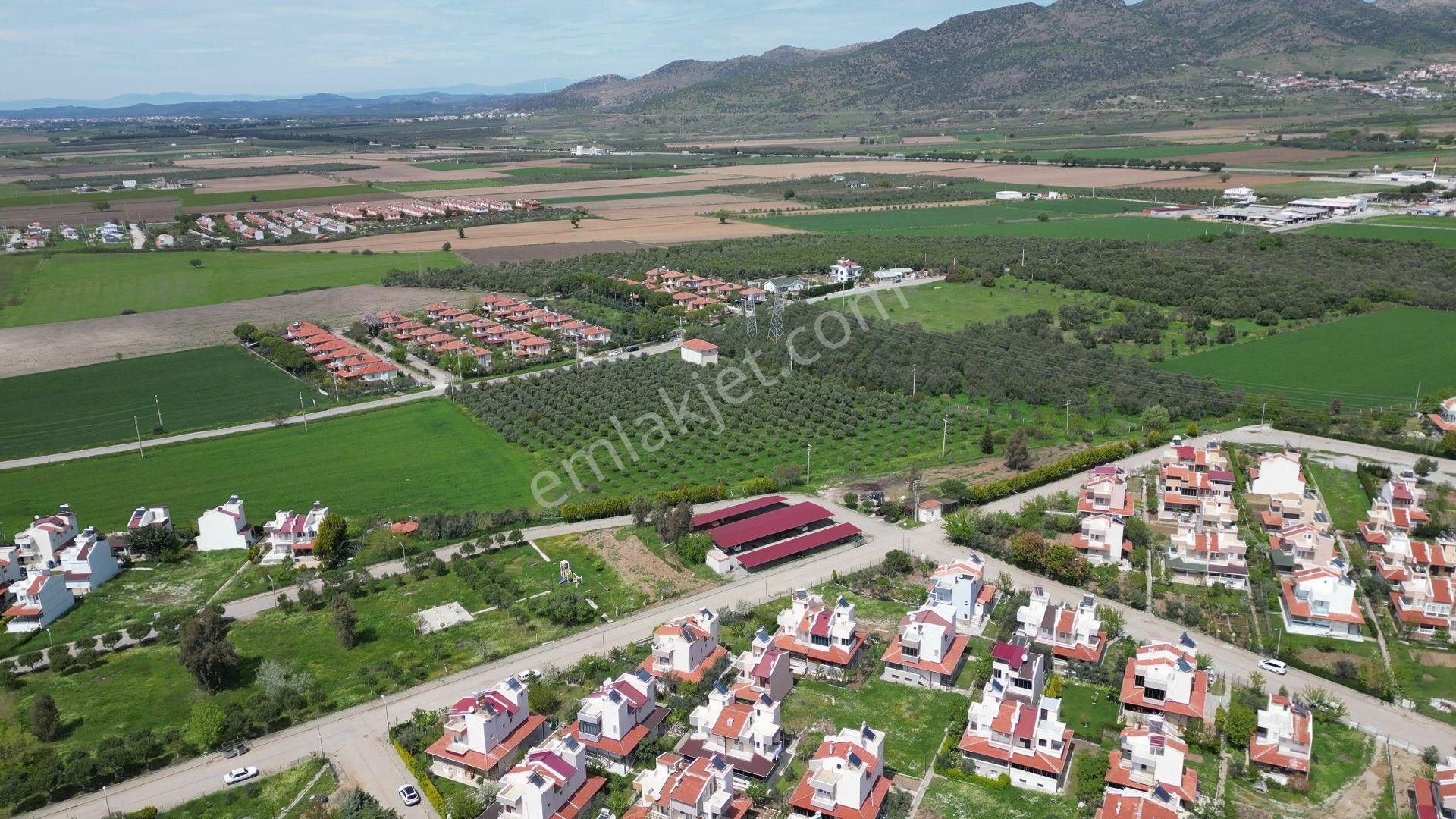 İzmir Dikili Salihleraltında 15.042 M² Satılık Arazi - Görsel 12