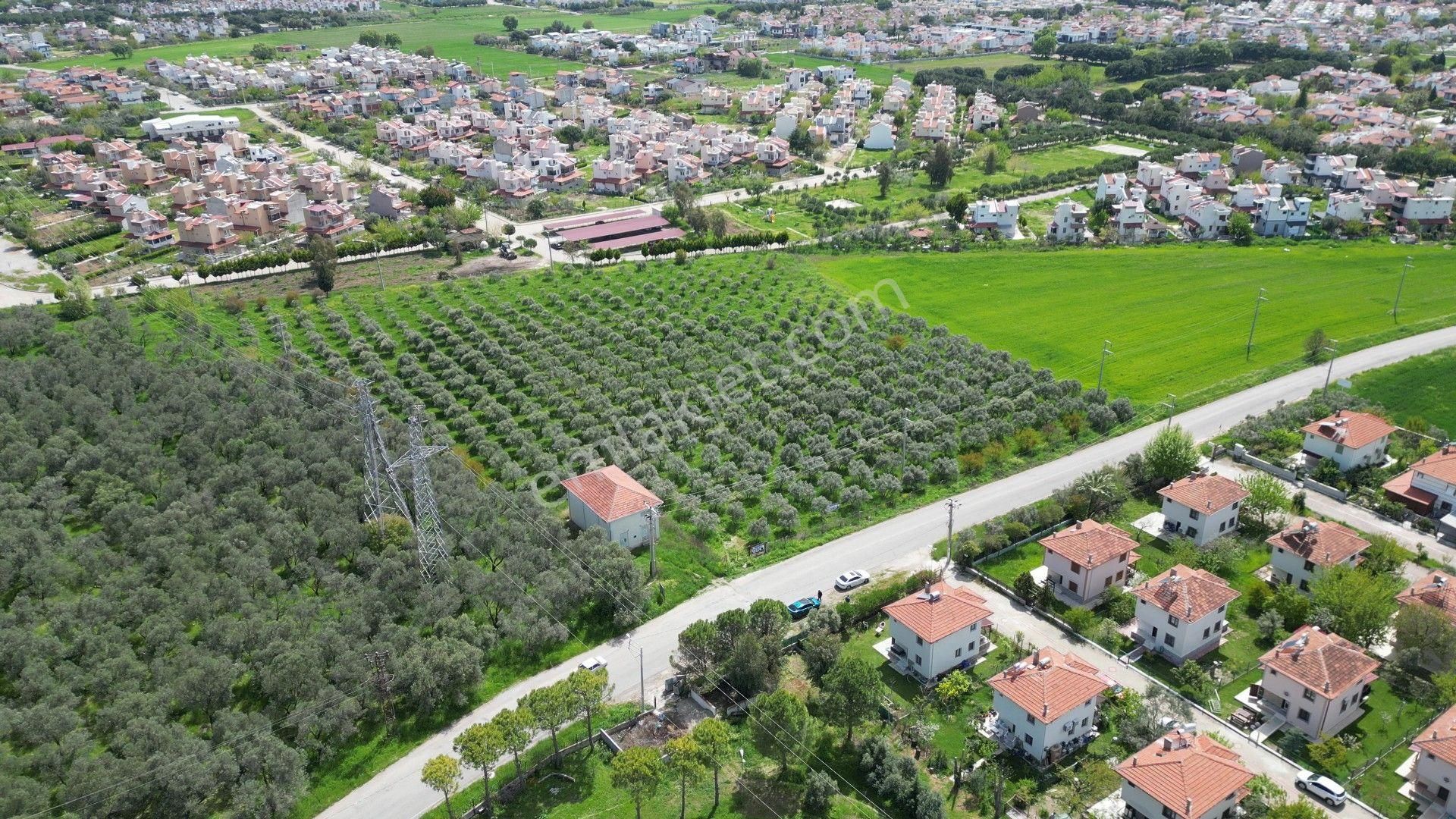 İzmir Dikili Salihleraltında 15.042 M² Satılık Arazi - Görsel 4