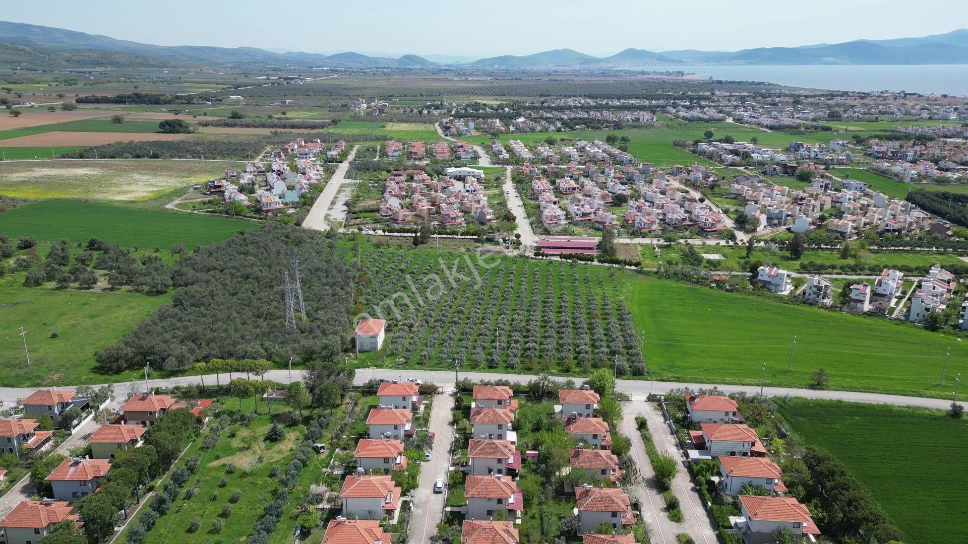 İzmir Dikili Salihleraltında 15.042 M² Satılık Arazi - Görsel 15