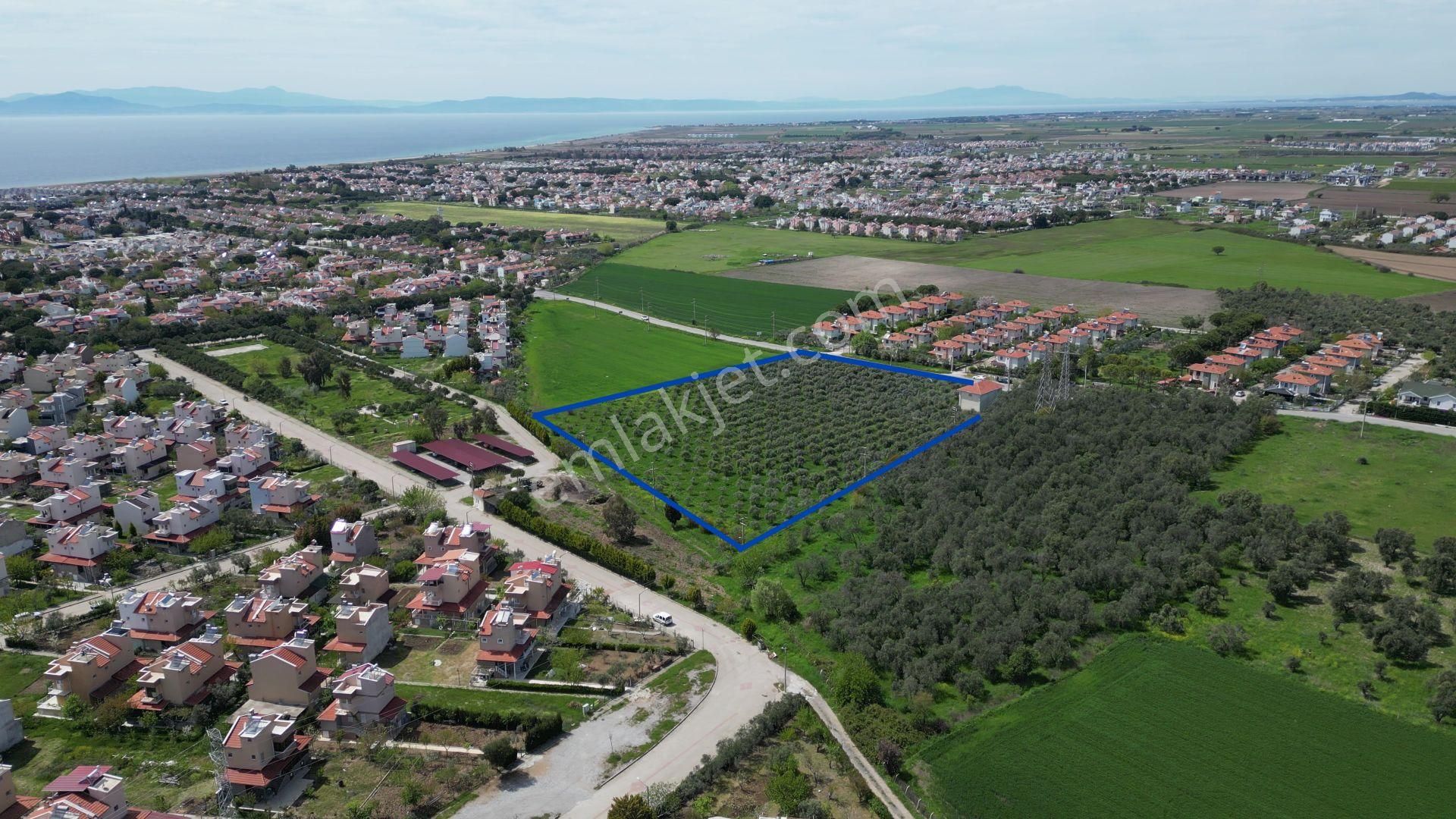 İzmir Dikili Salihleraltında 15.042 M² Satılık Arazi - Görsel 19