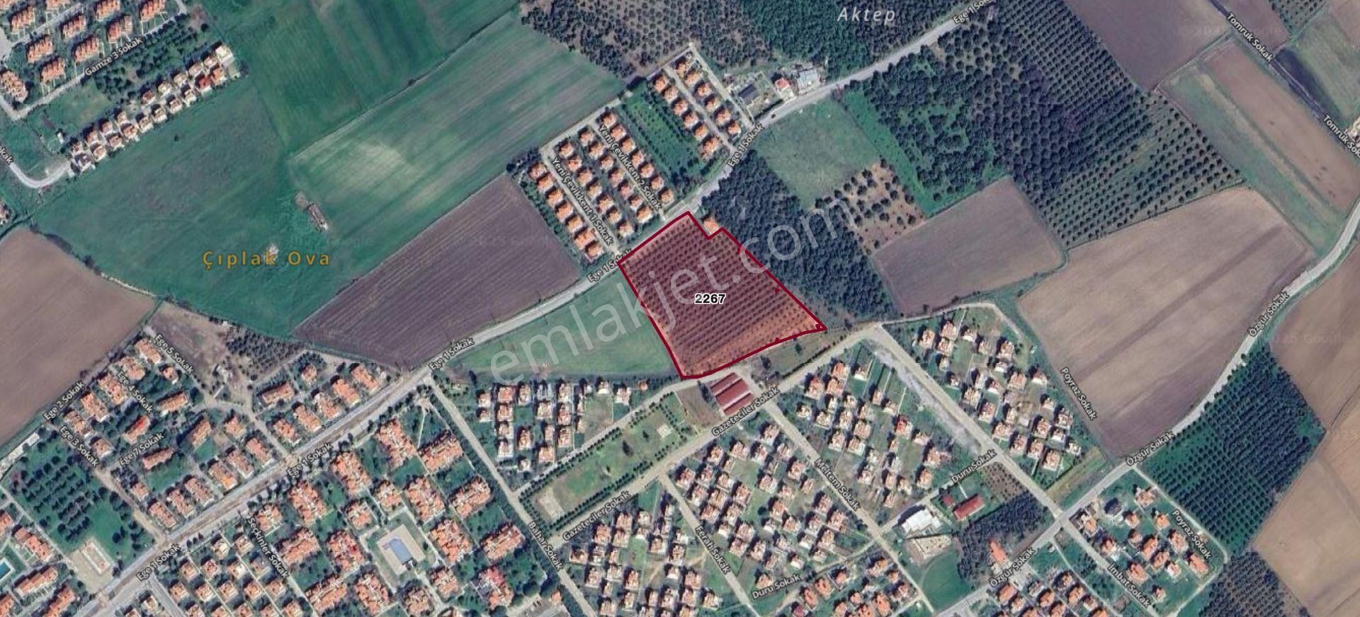 İzmir Dikili Salihleraltında 15.042 M² Satılık Arazi - Görsel 26