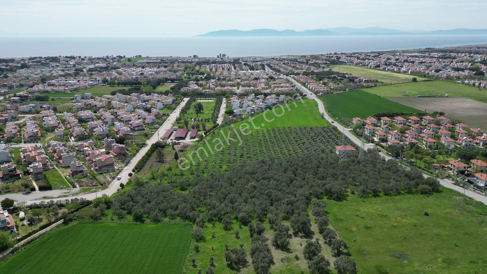İzmir Dikili Salihleraltında 15.042 M² Satılık Arazi - Görsel 14