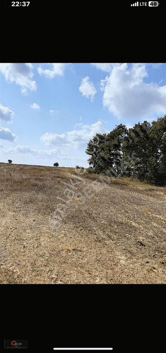 Silivri Çayırdere Satılık Tarla - Görsel 3