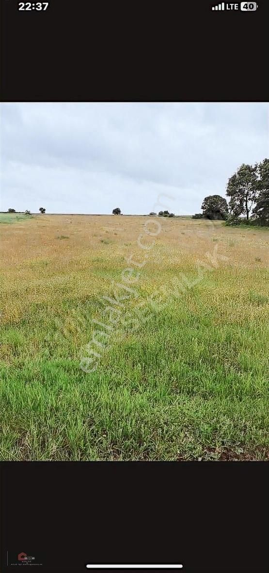 Silivri Çayırdere Satılık Tarla - Görsel 6